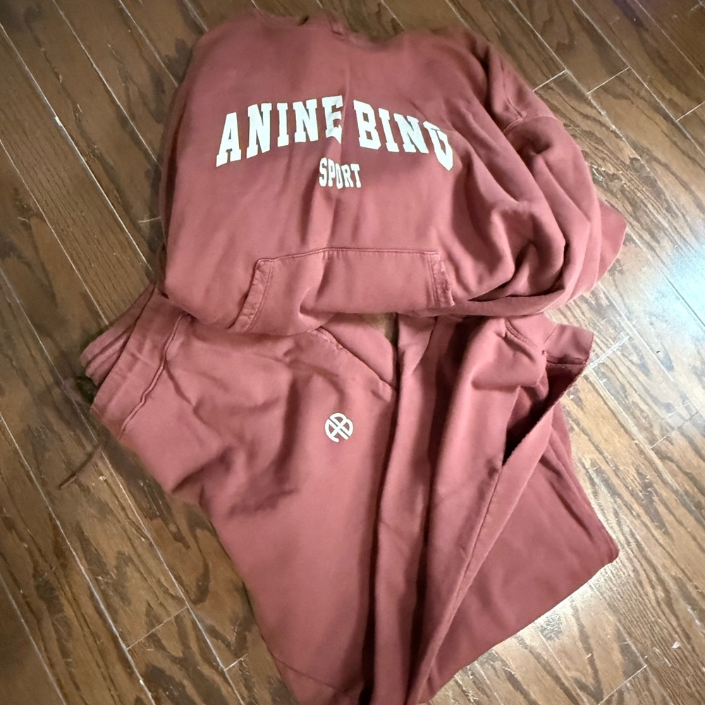 Anine Bing Sport Burgundy Sweatshirt and Pants Set
